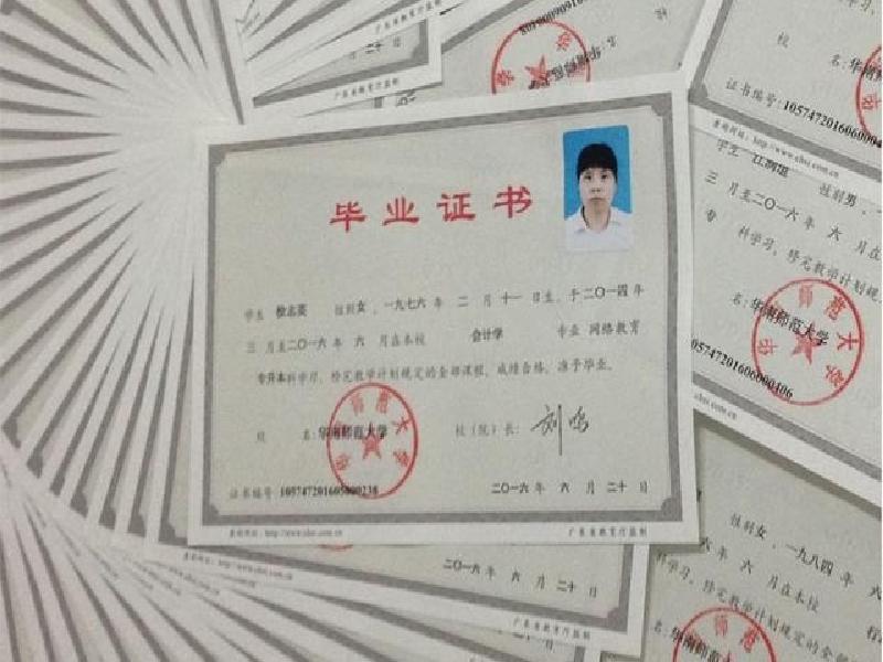 十年行业经验