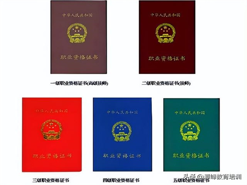 仿真行驶证制作